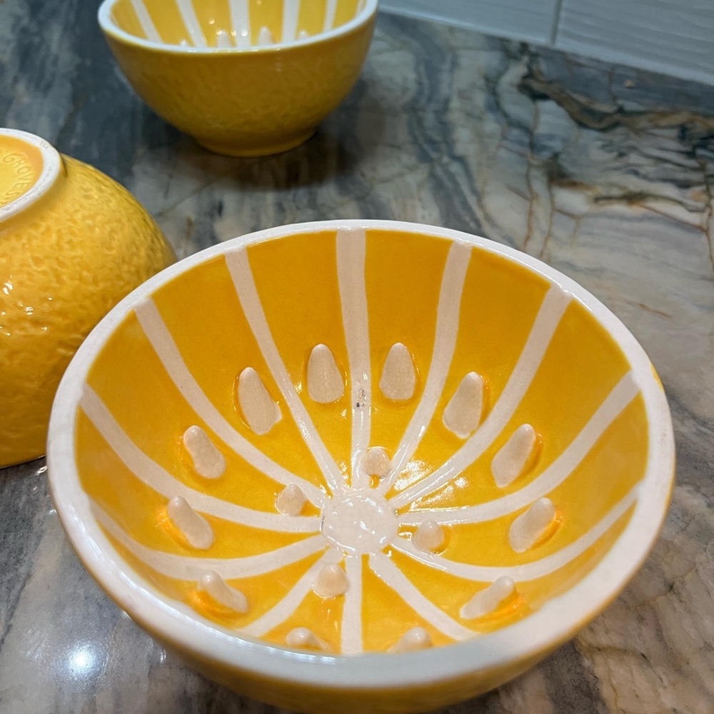 Set of 4 HAMMOND GROVES Citrus Textured Fruit GRAPEFRUIT BOWL Teeth Yellow - Picture 8 of 8